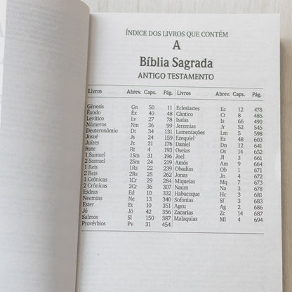 Bíblia Sagrada Lírios | NVI | Letra Grande | Capa Brochura