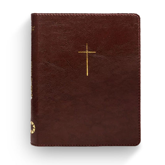 Biblia Cruz Marrom | NVI | Com Espaço Para Anotações