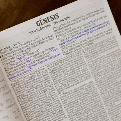 Bíblia de Estudo King James |  Atualizada |  Full Collor | Capa Dura | Vintage