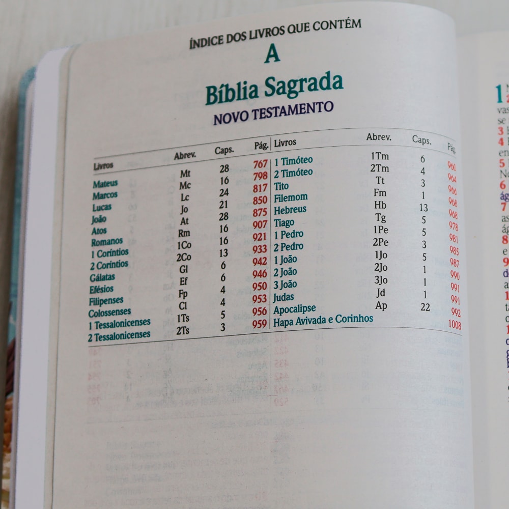 Bíblia Sagrada | ARC | Harpa Avivada e Corinhos | Jumbo | Capa Dura Azul com Flores