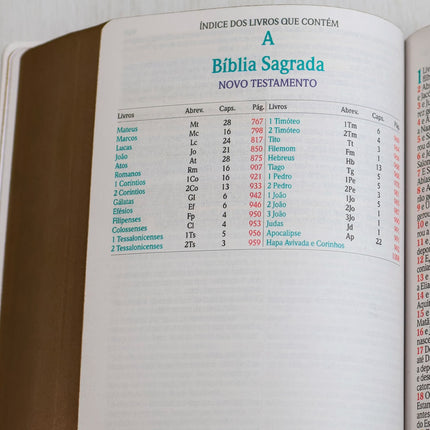 Bíblia Sagrada | ARC | Harpa Avivada e Corinhos | Jumbo | Capa Dura Pássaros
