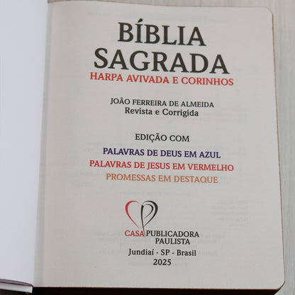 Bíblia Sagrada | ARC | Harpa Avivada e Corinhos | Jumbo | Capa Dura Pássaros