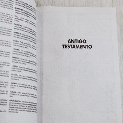 Bíblia Sagrada | NTLH | Lírios Azul | Brochura
