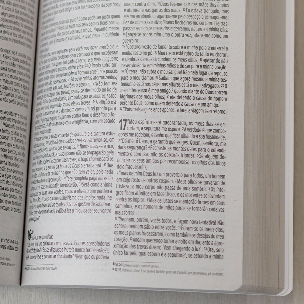 Bíblia no Banquinho  | NVI |  Brochura Evangelize