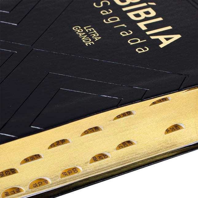 Bíblia Sagrada | NAA |  Letra Grande