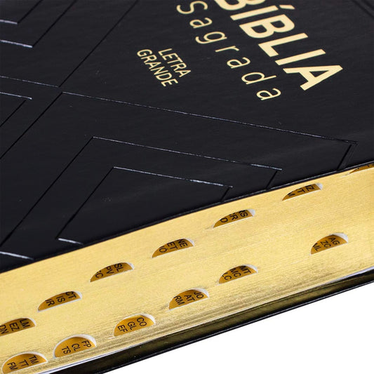 Bíblia Sagrada | NAA |  Letra Grande