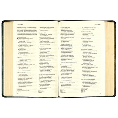 Bíblia C S Lewis | NAA | Couro-Soft Verde| Leitura Perfeita