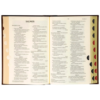Bíblia NVI |  Letras de Jesus em Vermelho | Couro-Soft Sobre Capa Dura Marrom | Timóteo
