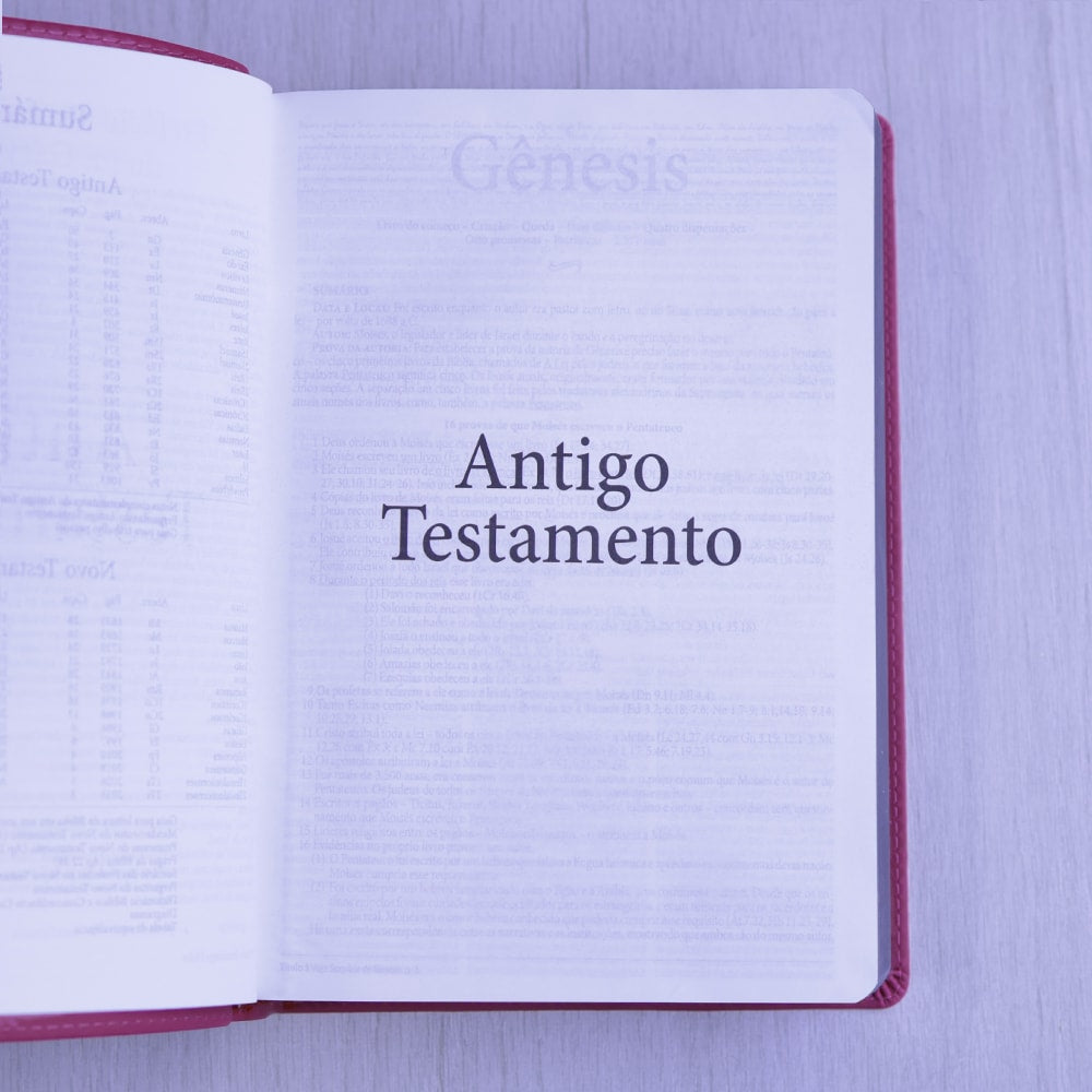 Bíblia de Estudo Dake | Capa Luxo | ACC | Letra Grande | Pink
