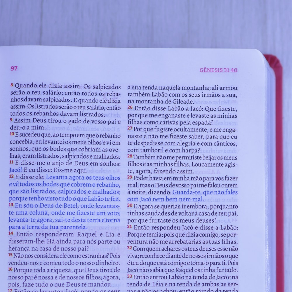 Bíblia da Pregadora Fiel | Full Color | ARC | Capa Luxo Vermelha
