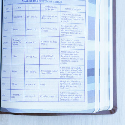 Bíblia do Pregador Fiel | Full Color | ARC | Capa Luxo Vinho
