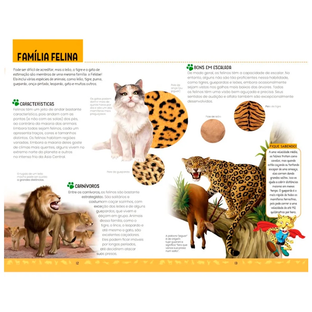 Explore | Animais