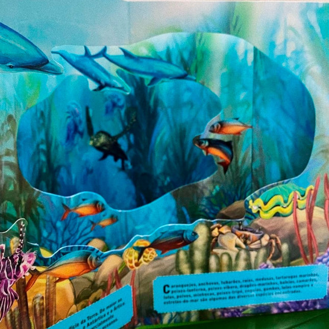 Livro 3D Carrossel | Fundo do Mar