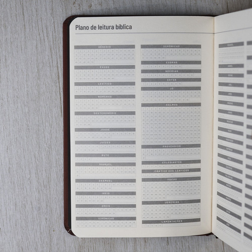 Moleskine | Os Planos de Deus | Marrom |  Viviane Martinello