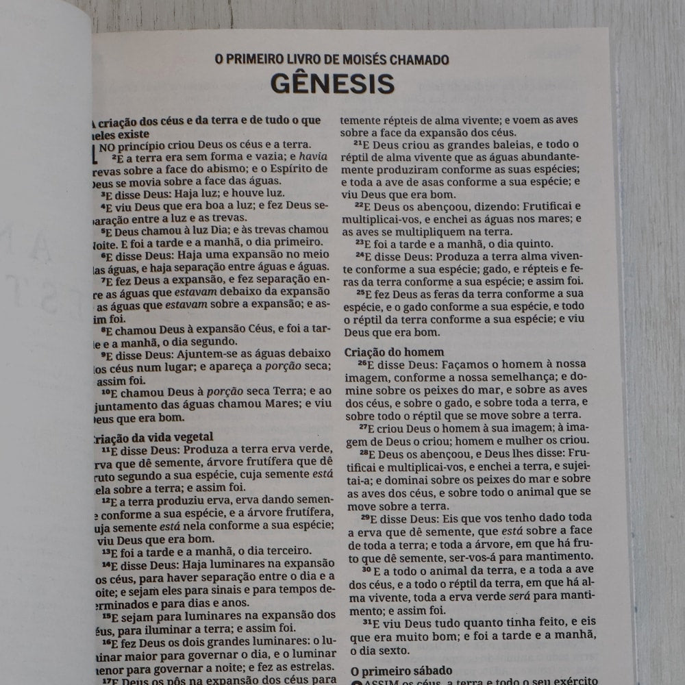 Bíblia Sagrada | ACF | Letra Grande | Capa Dura Flor Azul