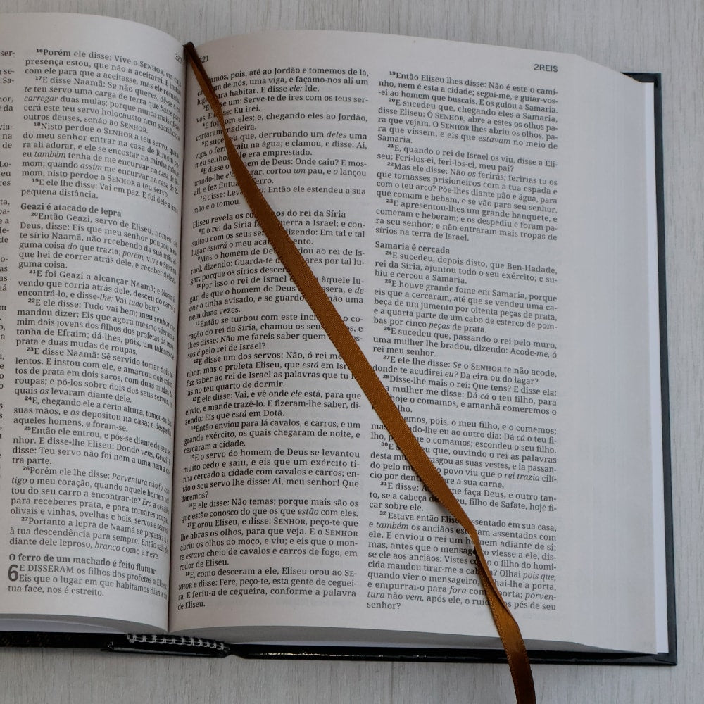 Bíblia Sagrada | ACF | Letra Grande | Capa Dura Leão Amado Rei