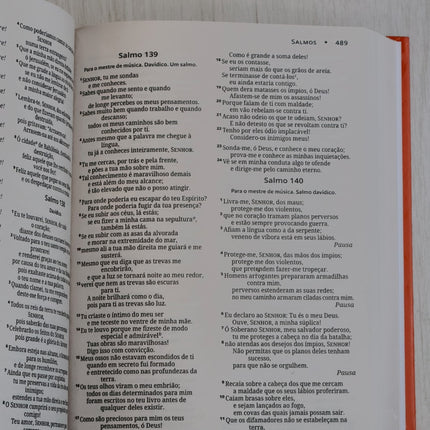 Bíblia Sagrada | NVI | Letra Grande | Capa Dura Clássica