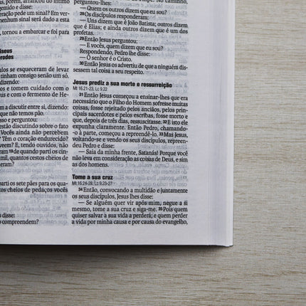Bíblia Sagrada Outono | NAA | Letra Normal | Capa Brochura