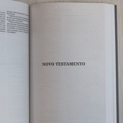 Bíblia Sagrada Leão Soberano | NVI | Capa Brochura