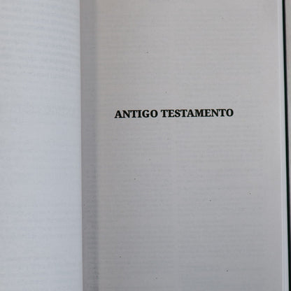 Bíblia Sagrada Leão Soberano | NVI | Capa Brochura