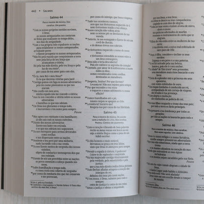 Bíblia Sagrada Leão Soberano | NVI | Capa Brochura