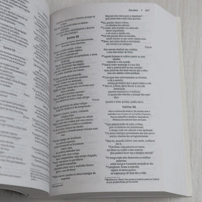 Bíblia Sagrada Coroa de Espinhos | NVI | Capa Brochura