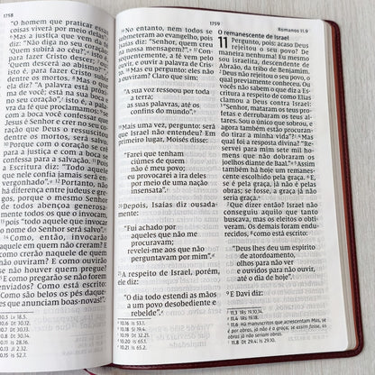 Bíblia Sagrada | NVI | Letra Sênior | Capa Vinho