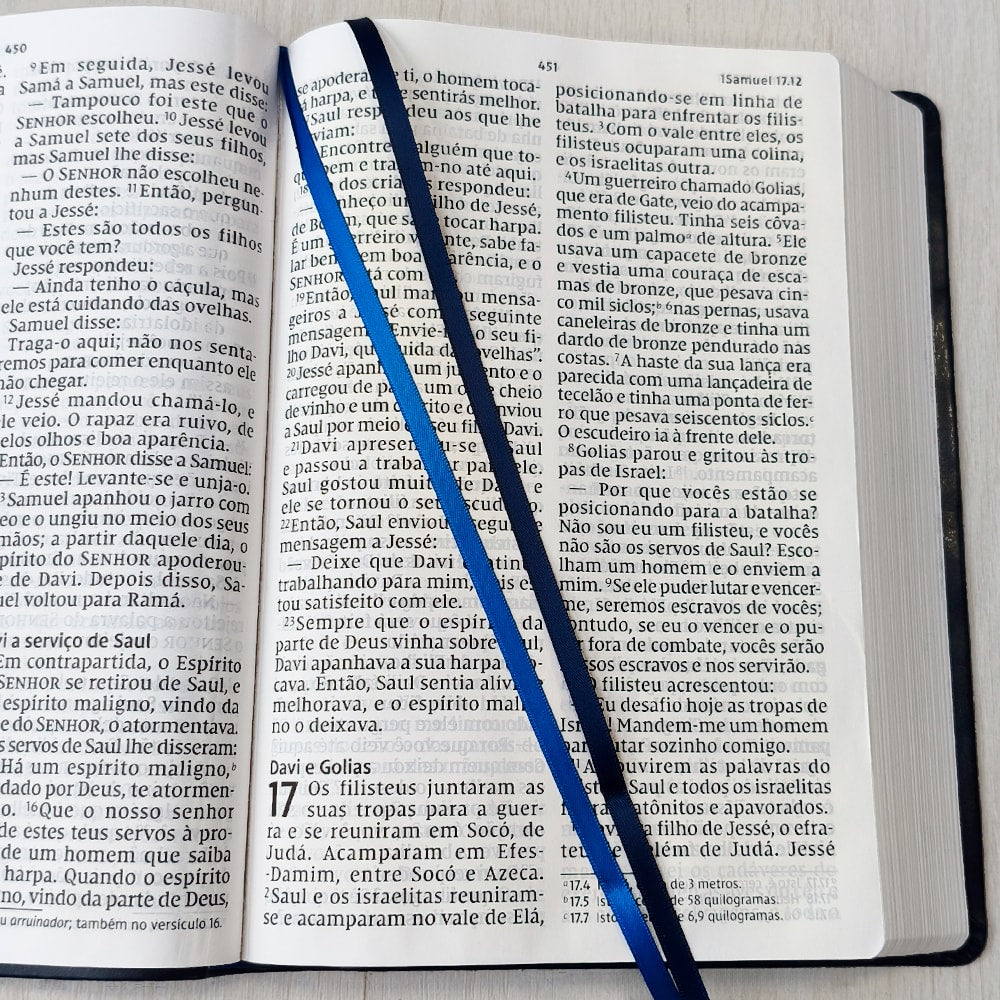 Bíblia Sagrada | NVI | Letra Sênior | Capa Azul