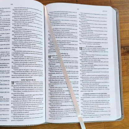 Biblia Sagrada Slim | ACF | Luxo Cinza