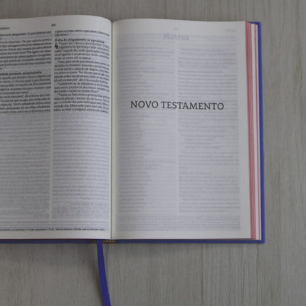 Bíblia Sagrada Isaías 55 | NVT | Capa Dura