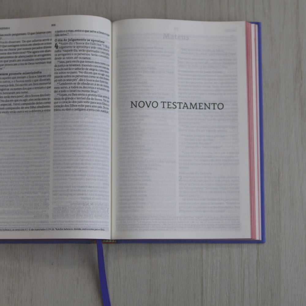 Bíblia Sagrada Isaías 55 | NVT | Capa Dura