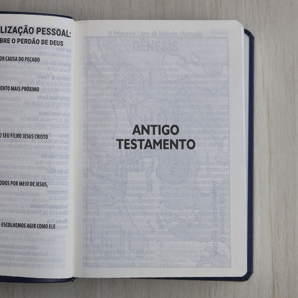 Bíblia Sagrada | Letra Supergigante | NAA | Capa Luxo Azul e Rosa