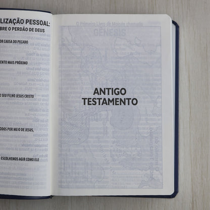 Bíblia Sagrada | Letra Supergigante | NAA | Capa Luxo Azul e Rosa