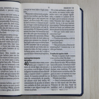 Bíblia Sagrada | Letra Supergigante | NAA | Capa Luxo Azul e Rosa