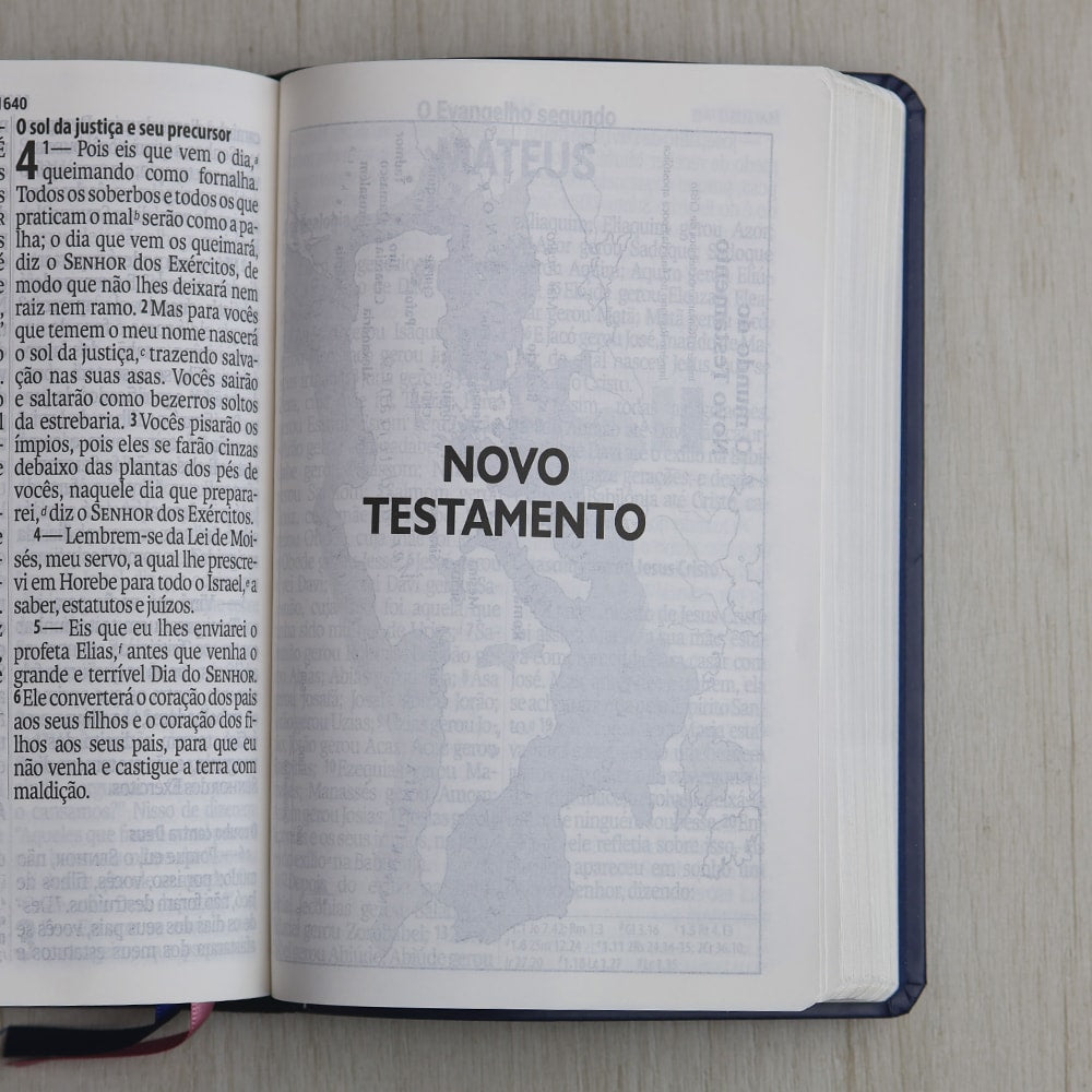 Bíblia Sagrada | Letra Supergigante | NAA | Capa Luxo Azul e Rosa