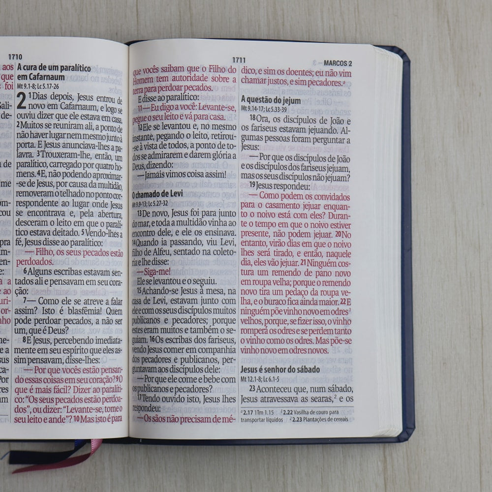 Bíblia Sagrada | Letra Supergigante | NAA | Capa Luxo Azul e Rosa