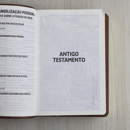 Bíblia Sagrada | Letra Supergigante |  NAA | Capa Marrom Leão
