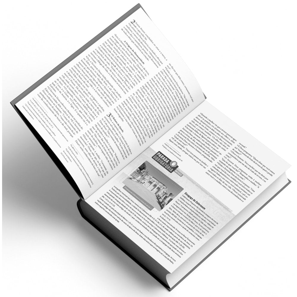 Bíblia de Estudo Rota 66 | NVI | Luiz Sayão | Capa Flexível Caramelo