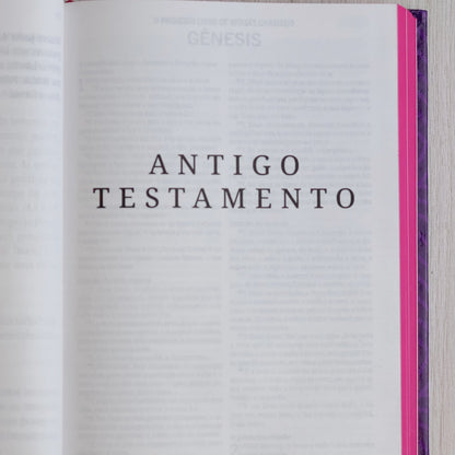 Bíblia Sagrada | ACF | Não Temas