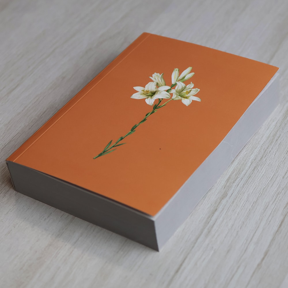 Bíblia Sagrada Lírios Laranja | NAA | Letra Normal | Capa Ilustrada