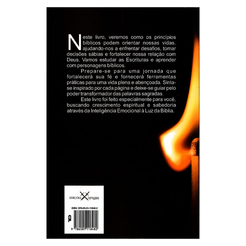 Inteligência Emocional Para Cristãos à Luz da Bíblia | Denilson Araújo