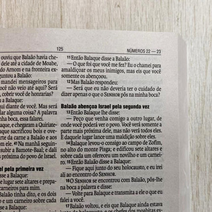 Bíblia Sagrada Orquídeas | NAA | Letra Normal | Capa Ilustrada