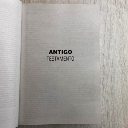 Bíblia Sagrada Porque Deus Amou João 3:16 | NAA | Letra Normal | Capa Ilustrada
