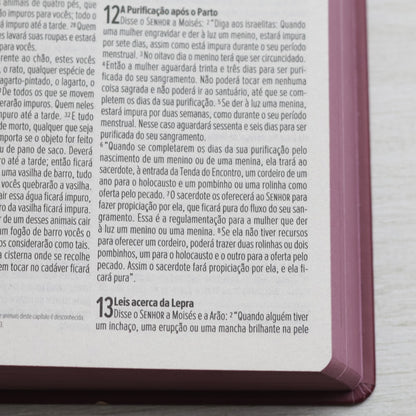 Bíblia Sagrada Feminina | NVI | Letra Normal | Capa Dura