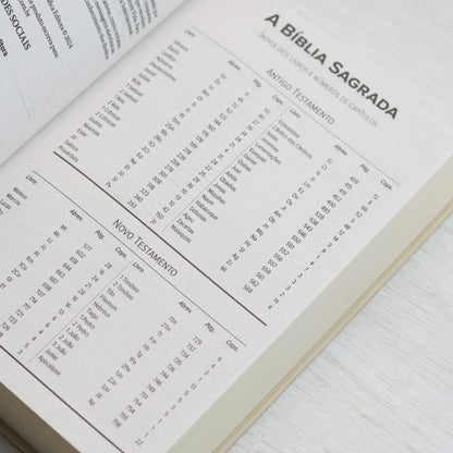 Bíblia Sagrada Cordeiro e Leão | NVI | Letra Normal | Capa Dura
