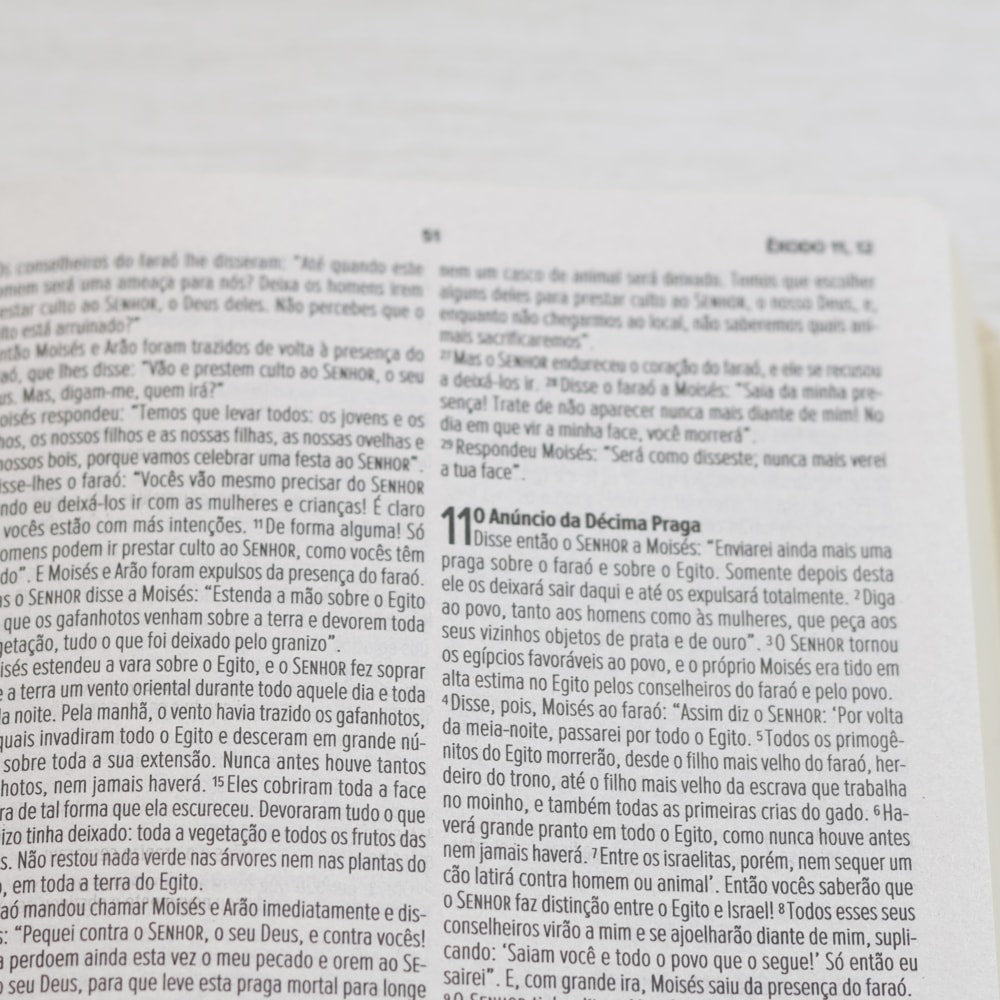 Bíblia Sagrada Cordeiro e Leão | NVI | Letra Normal | Capa Dura