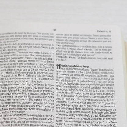 Bíblia Sagrada Cordeiro e Leão | NVI | Letra Normal | Capa Dura
