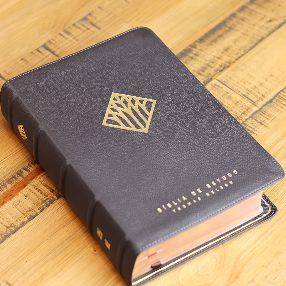 Bíblia Sagrada | NVI | Premier Collection | Capa Couro Luxo Marrom