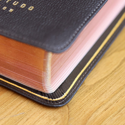 Bíblia Sagrada | NVI | Premier Collection | Capa Couro Luxo Marrom