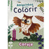 AMIGUINHOS PARA COLORIR: CORUJA